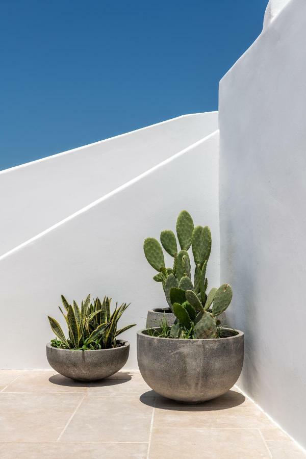 Avra Mykonos Hotel เตลอส ภายนอก รูปภาพ